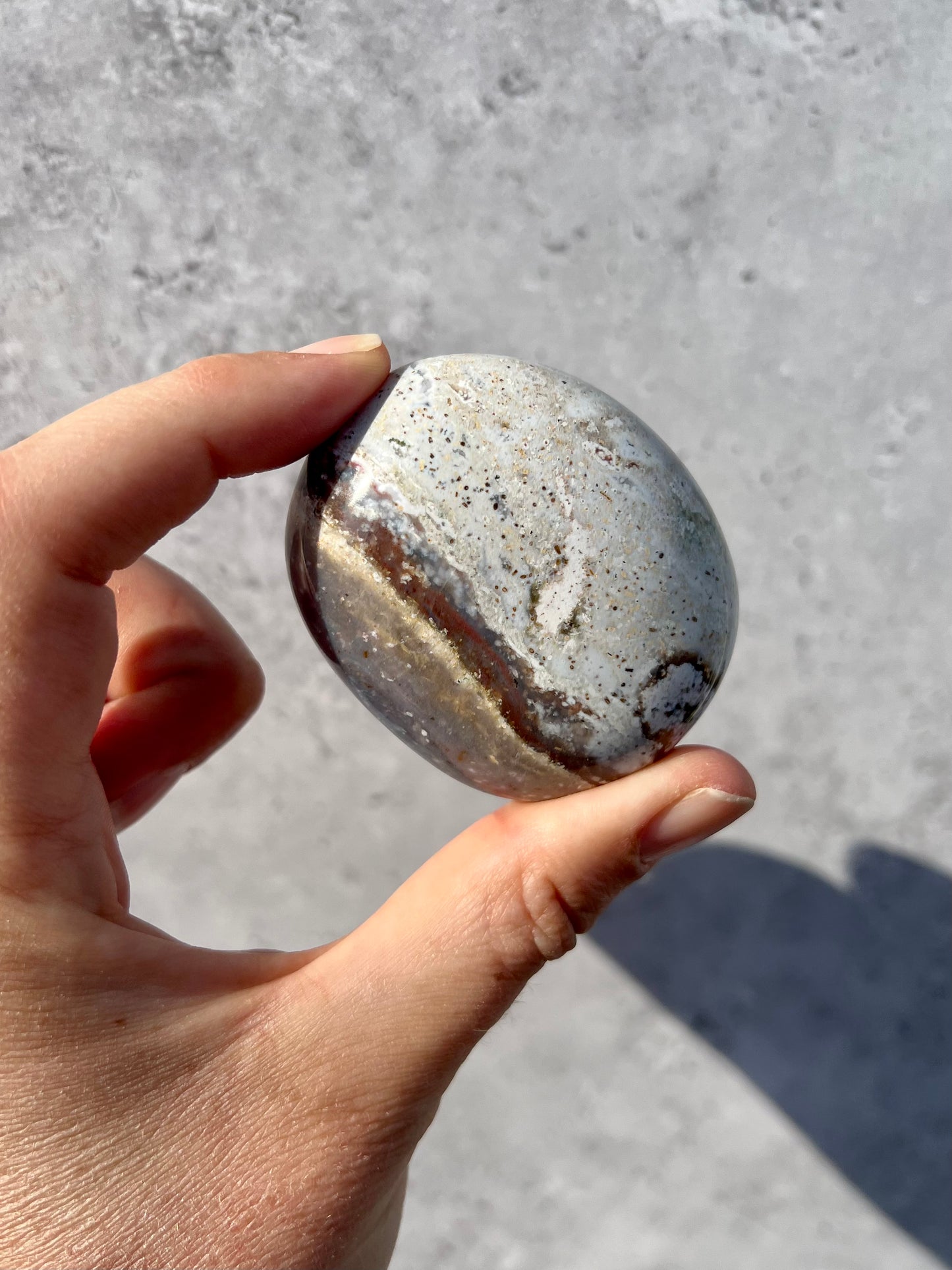 Ocean Jasper Palmstone C